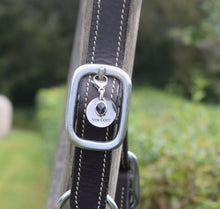 Ladda upp bild till gallerivisning, Månadssten Februari Amethyst