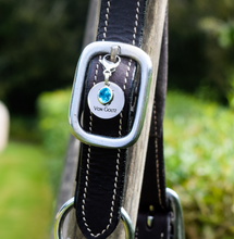 Ladda upp bild till gallerivisning, Månadssten Mars Aquamarine